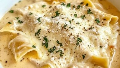 Creamy Alfredo Lasagna Soup Recipe